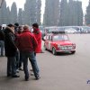 28 coppa dalla favera_19